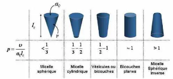 Figure I.5. Influence du paramètre d’empilement sur la morphologie des agrégats. 45