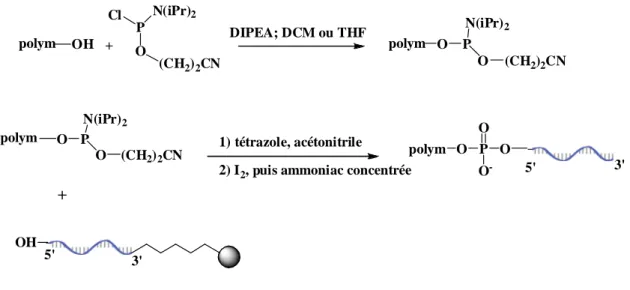 Figure II.5. Synthèse sur support solide des copolymères à blocs à base d’oligonucléotides