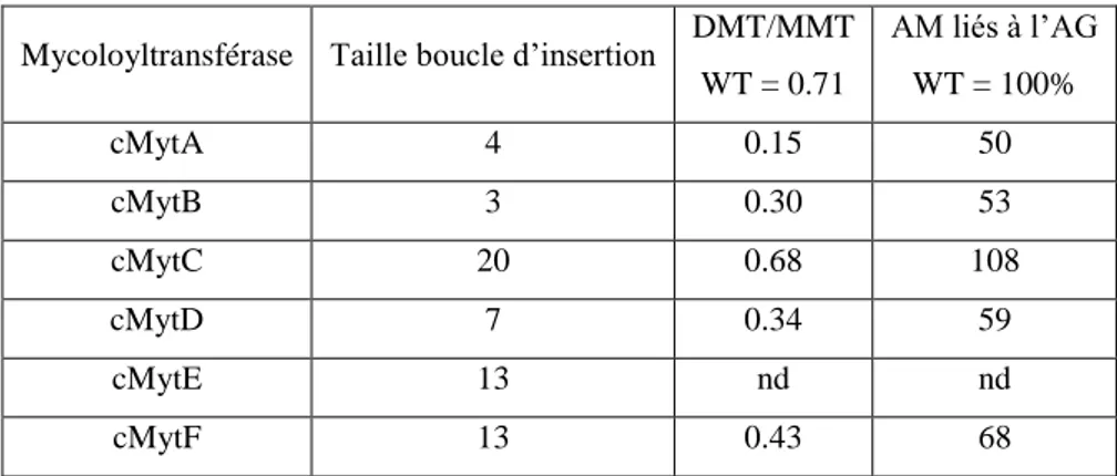 Tableau 3 : Comparaison entre la taille de la boucle d’insertion des mycoloyltransférases  et la quantification  des acides mycoliques après mutation du gène correspondant (Adindla et al, 2004; De Sousa-D'Auria et al, 2003;  Kacem et al, 2004)