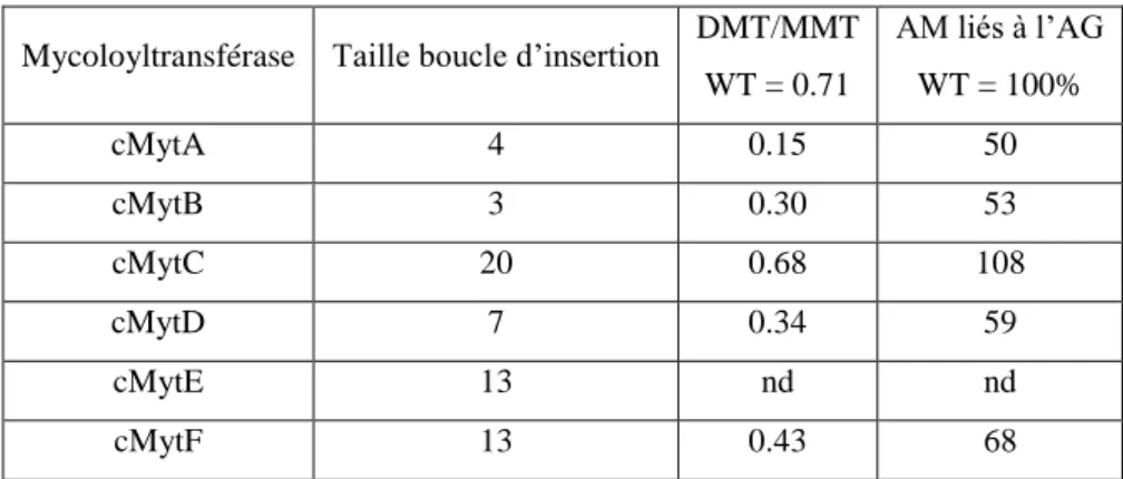 Tableau 3 : Comparaison entre la taille de la boucle d’insertion des mycoloyltransférases  et la quantification  des acides mycoliques après mutation du gène correspondant (Adindla et al, 2004; De Sousa-D'Auria et al, 2003;  Kacem et al, 2004)