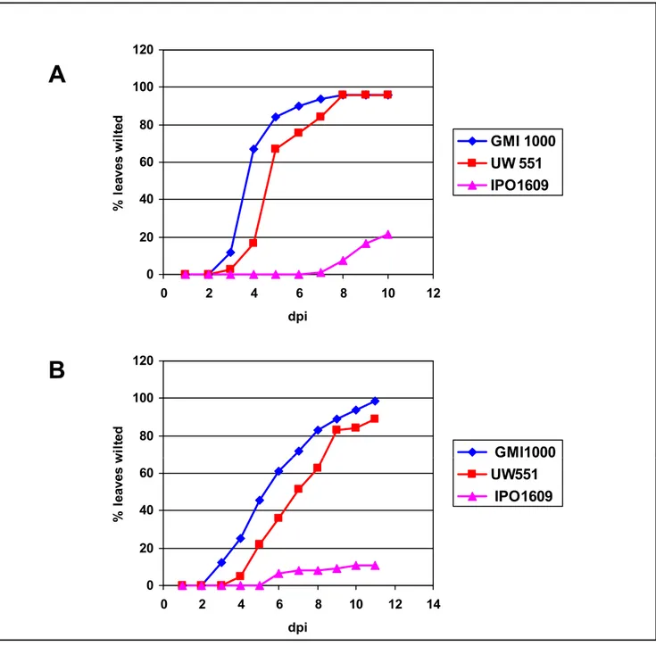 Figure 12. Virulence of Ralstonia solanacearum GMI1000, UW551 and IPO1609 on tomato (A) and potato plants (B)