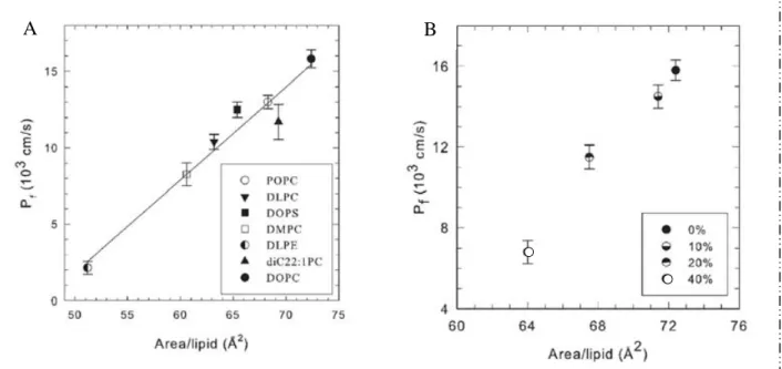 Figure  5 :  Corrélation  de  la  perméabilité  membranaire  avec  la  surface  d’encombrement  par  lipide  d’une  bicouche lipidique de composition variable