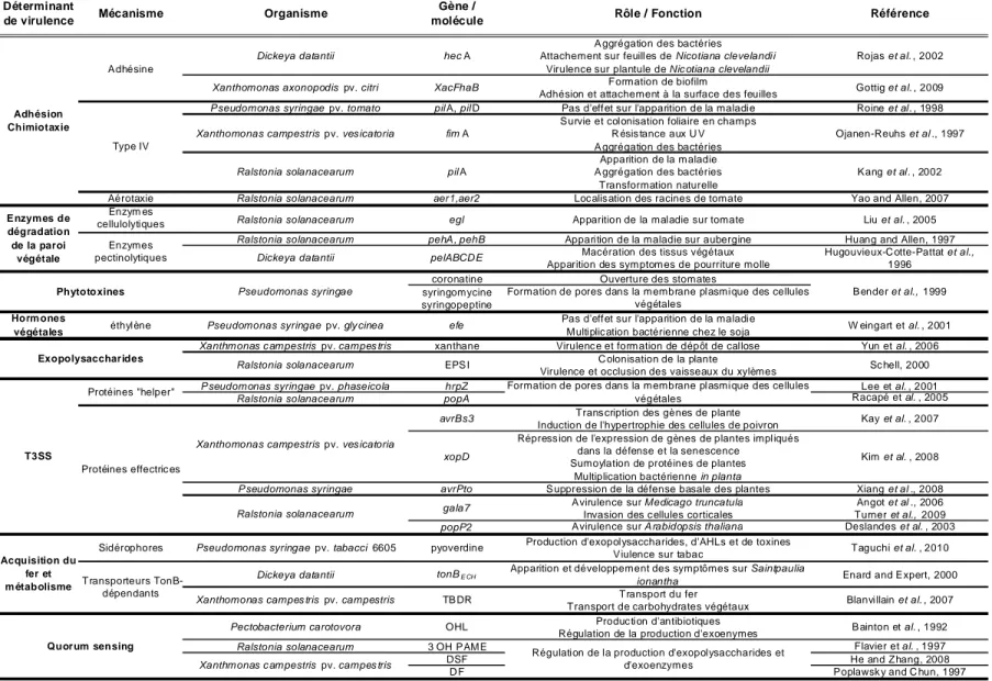 Tableau 1. Exemples non exhaustifs de déterminants de virulence et de leur rôle dans la pathogénie 