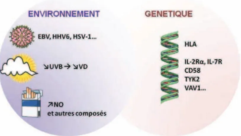 Figure 12. Principaux facteurs de risque