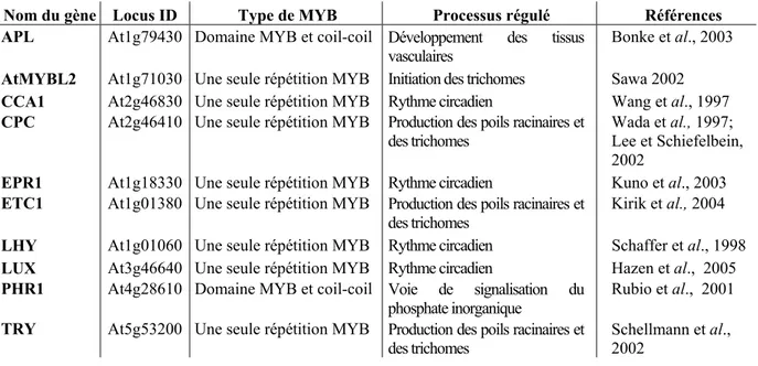 Tableau I-4. Protéines MYB atypiques caractérisées fonctionnellement chez 