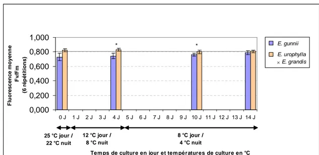 Figure 7 : Etat des photosystèmes avec fluorescence moyenne de feuilles de branche de plantules d’espèces d’Eucalyptus au cours de l’acclimatation à 25-12-8 °C