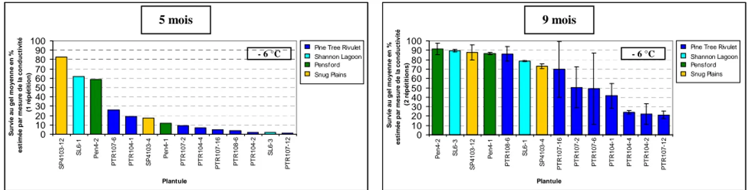 Figure 13 : Classement de plantules d’Eucalyptus gunnii de 5 et 9 mois d’après la survie au gel calculée après mesure de la fuite d’ions de disques foliaires issus de feuilles de branche lors d’un stress au froid à 2,5 °C /h et 4 °C /h à la température de -6 °C avant et pendant l’acclimatation à  25-12-8 °C