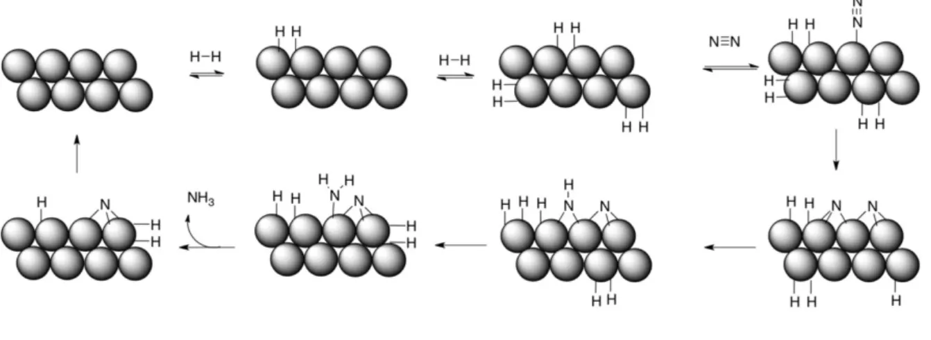 Figure 7. Mécanisme proposé pour la catalyse au fer du procédé Haber-Bosch.    