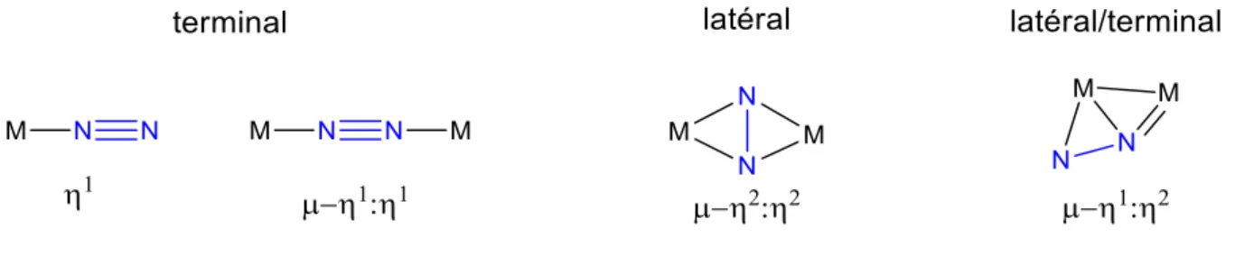 Figure 8. Modes de coordination du diazote à un métal. 