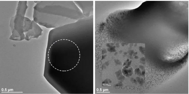 Fig. 2.19 – Microscopie HRTEM à 200 kV (gauche) d’un cristal de κ-(ET) 2 Cu(NCS) 2 à faible illumination et (droite) de nanocristaux présents après forte illumination au sein