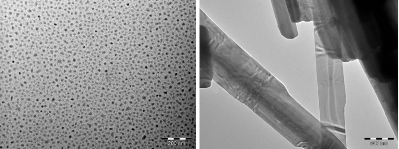 Fig. 2.21 – Microscopie MET à 100 kV d’une synthèse en présence de [BMIM][(CF 3 SO 2 ) 2 N] présentant un mélange de NPs (gauche) et de cristaux de