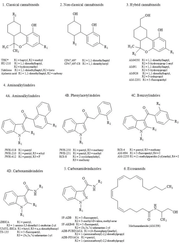 Fig I - 3. Chemical structures of the main SCs 