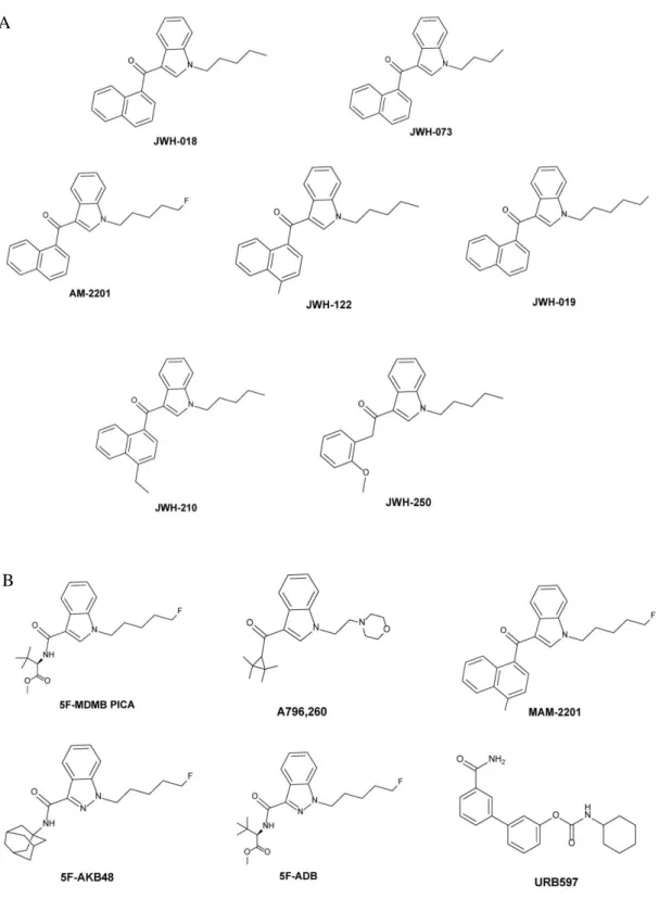 Fig I - 4. Structure of selected SCs: first and second generations(A), third generation 