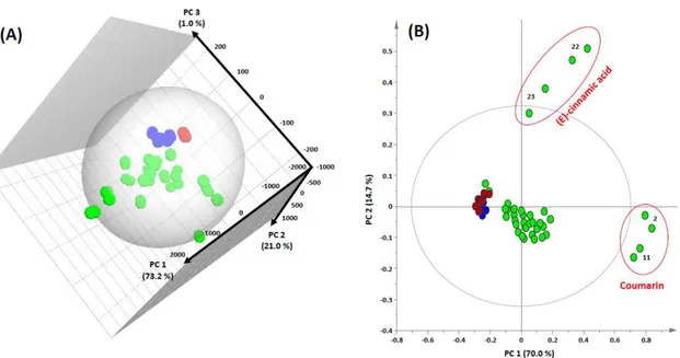 Fig II - 6. (A) Three-dimensional score plot of a PCA built from the LF NMR data of 