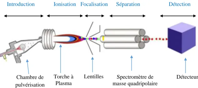 Figure I.6. Schéma du principe de l’ICP-MS 80 . 