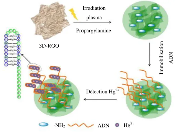 Figure I.11. Stratégie de fonctionnalisation de surface et de détection du Hg 2+ . 118