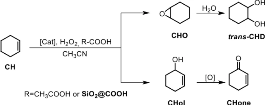 Figure 11 - Conversion de CH entre différents catalyseurs et différentes conditions. 