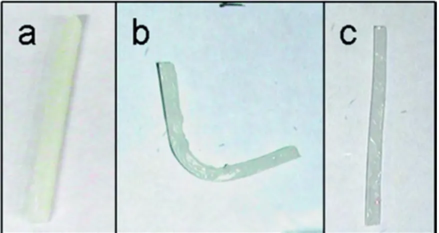 Figure 1.6 Shape memory experiment: (a) original, unbent sample bar of poly(B3-co-CL); (b) sample  bar after bending to a temporary shape; (c) sample bar after being allowed to recover its original shape  following 10 bending cycles