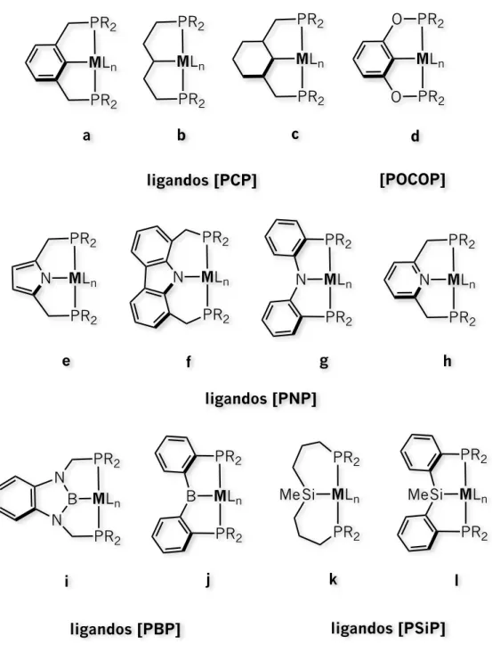 Figura  1.1   Complejos  de  metales  de  transición  con  ligandos  tridentados.  Ejemplos  representativos