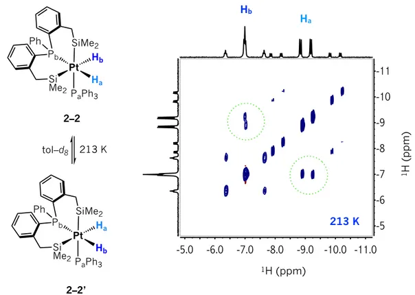 Figura  2.6   Espectro  de  RMN  de  2D  1 H– 1 H  EXSY  en  la  región  de  hidruros  a  213  K  en 