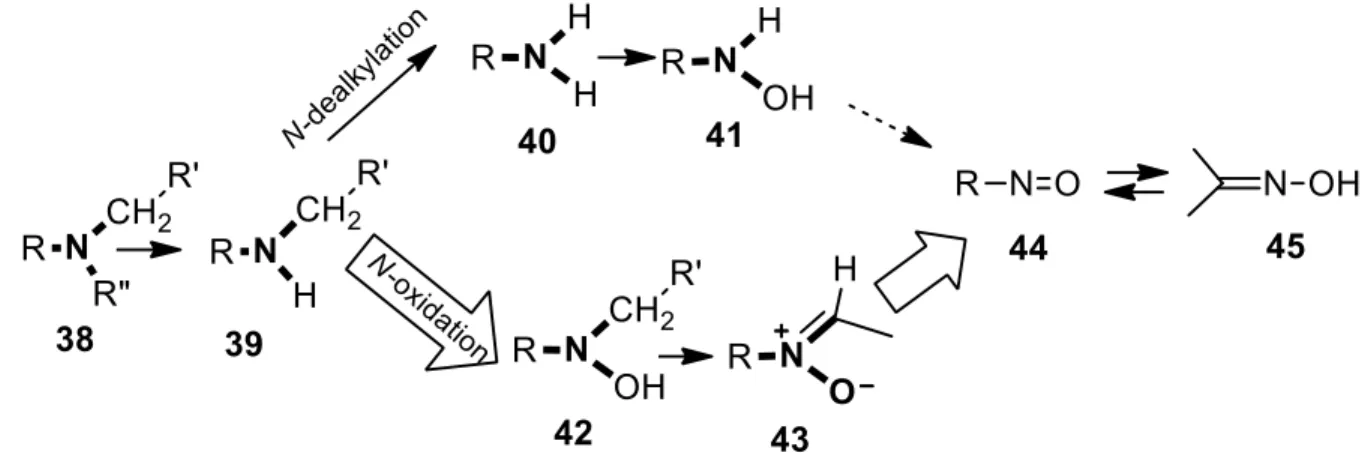 FIGURE 11: Alkylamine bio-activation pathways leading to nitroso derivatives. 