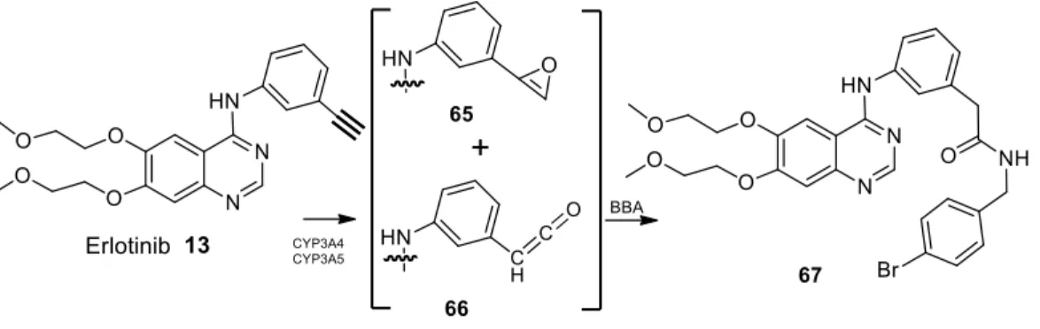 FIGURE  14:  Proposed  mechanism  of  erlotinib  metabolic  activation  to  oxirene  or  ketene  derivatives  upon acetylene oxidation