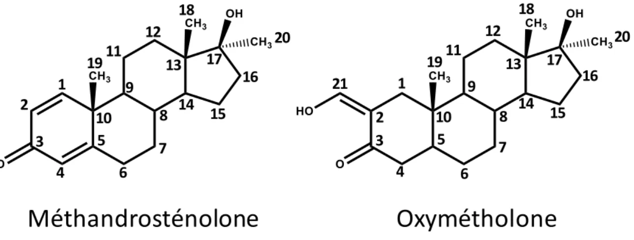 Figure 1 : Structures des substances suspectées dans les formulations 13 : la méthandrosténolone et 21 : l’oxymétholone