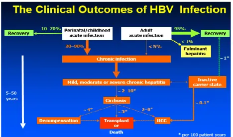 Figure 5 : Évolution clinique par l’infection du VHB (Adapté de : EASL Consensus Statement
