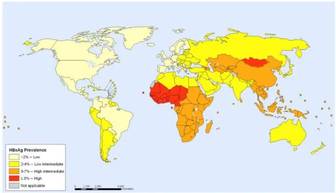 Figure 6 : Endémicité mondiale, prévalence de l'AgHBs estimée et catégorisée en 2005 [extrait de (18)] 