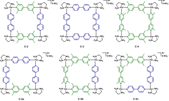 Figure I.1-1 : Métallomacrocycles théoriquement envisageables à partir des briques moléculaires Pd-2, 2 et 3 