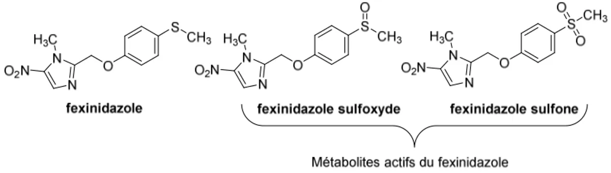 Figure 29 : Structure du fexinidazole et de ses deux métabolites actifs. 