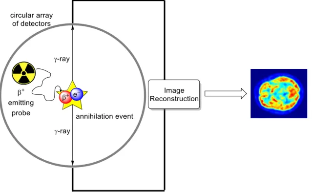 Figure 1.1 Basic schematic of PET imaging. 