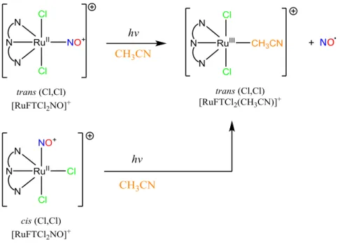 Figure II-13 : Schéma de la photolibération de NO •  par le cis (Cl,Cl)-[RuFTCl 2 NO] +