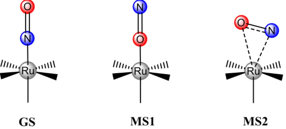 Figure II-1 : Les configurations des différents états GS, MS1 et MS2 (d’après Rose et al., Coord