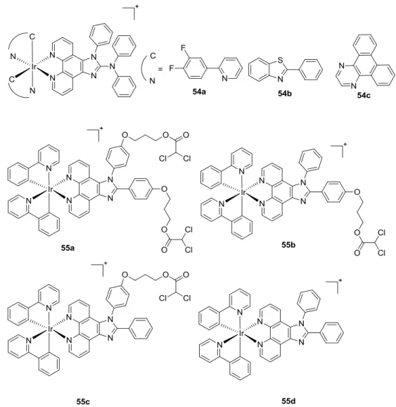 Fig 1.4.8 Iridium(III) complexes as PSs reported by Chao and co-workers (54a-54c, 