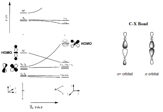 Figure 2.1 Walsh diagram for PtL 2  complexes (left)  (19)  and schematic illustration of σ and σ* orbitals of a C-X 