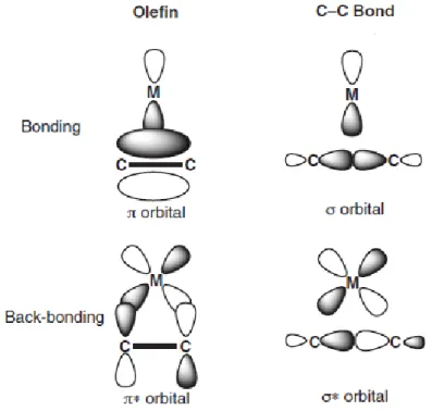 Figure  2.4  Schematic  bonding  for  the  interaction  of  CC  multiple  bonds  (left)  and  single  bonds  (right)  to  transition  metals, illustrating the unfavorable overlap of the orbitals engaged in the activation process of σ-CC  bonds