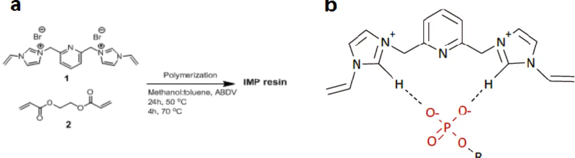 Figure  2.2  :  a)  Représentation  schématique  de  la  synthèse  de  la  résine  IMP