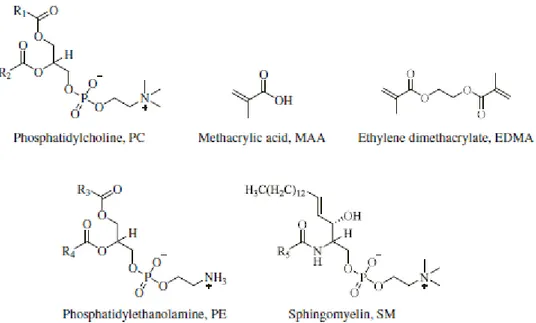 Figure 2.6 : Représentation des structures de la molécule template (PC), du monomère fonctionnel (MAA) et de  l’agent  réticulant  utilisés  dans  le  mélange  de  polymérisation  et  des  phospholipides  utilisés  pour  évaluer  la  sélectivité du MIP (PE