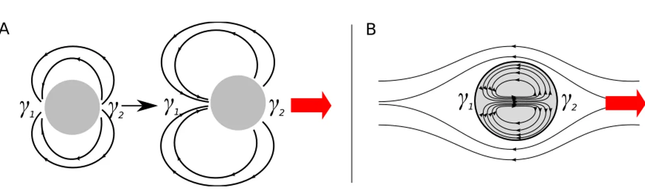 Figure 1.18: Convection induced motion ( 1 &gt; 2 ). A: Convection induced motion around a solid object