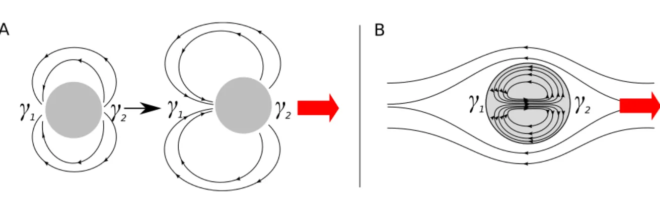 Figure 1.18: Convection induced motion ( 1 > 2 ). A: Convection induced motion around a solid object