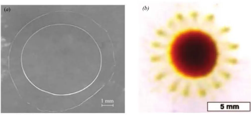 Figure 1.22: Pulsating drops. a: A pulsating drop mineral oil containing a non-ionic, non-water soluble surfactant