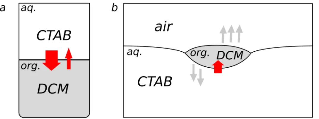 Figure 2.2: Different configurations of the CTAB/DCM system. a: Biphasic configuration where the CTAB solution is