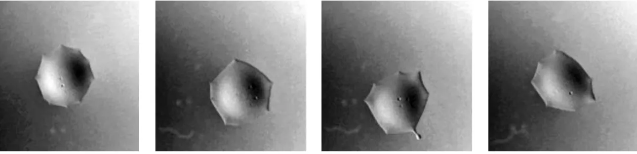 Figure 2.7: Series of a DCM drop on a 30 mM CTAB solution. As it evolves it starts ejecting smaller droplets (visible in the last two images).