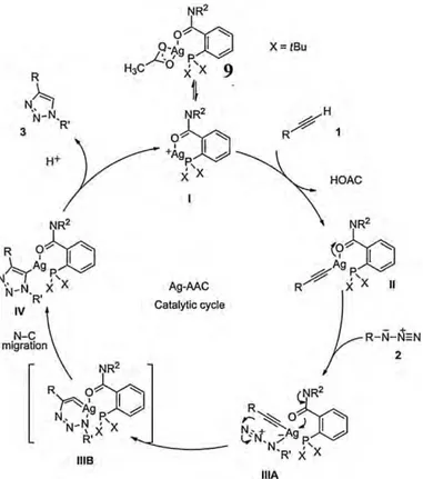 Fig. 11. Proposed catalytic cycle for the homogeneous Ag(I)-catalyzed AAC reaction. Reproduced with permission from Ref