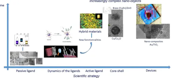Figure I. 4.  Schematic illustration for the scientific strategy in our group. 