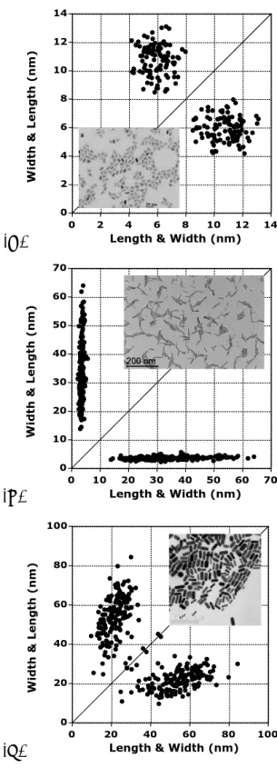 Figure  II.3.   2D  size  plots  of  the  TEM  pictures:  (A)  bullet  shaped  CdSe/CdS 