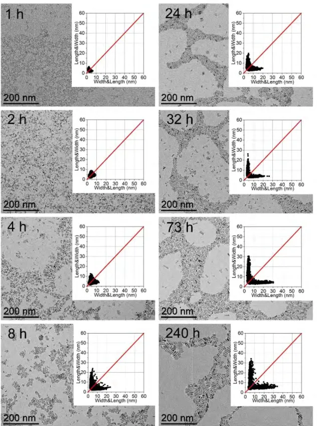 Figure  III.1.  2D size plots and TEM pictures of ZnO/2DDA NPs versus hydrolysis 