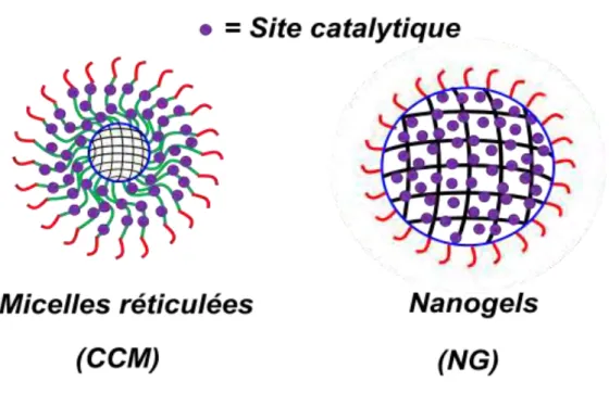 Figure I. 3. Architectures pour des nanoréacteurs unimoléculaires utilisés dans la catalyse de type  micellaire
