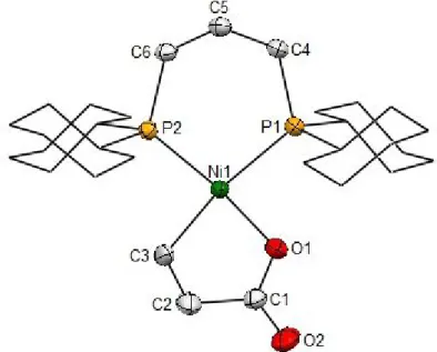 Figure 4.2: Molecular structure of [(dcpp)nickelalactone] IV-4 determined by single crystal X-ray 